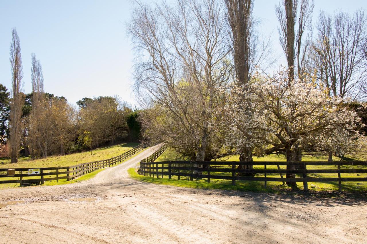 Shearvue Farmstay With Optional Free Farm Experience At 5Pm Fairlie Eksteriør bilde