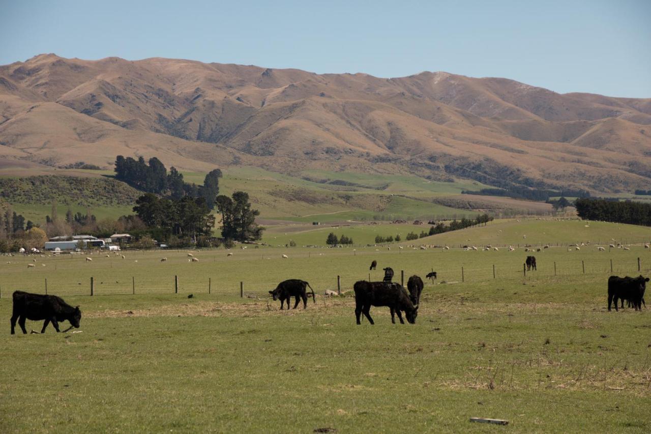 Shearvue Farmstay With Optional Free Farm Experience At 5Pm Fairlie Eksteriør bilde